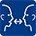 social icon